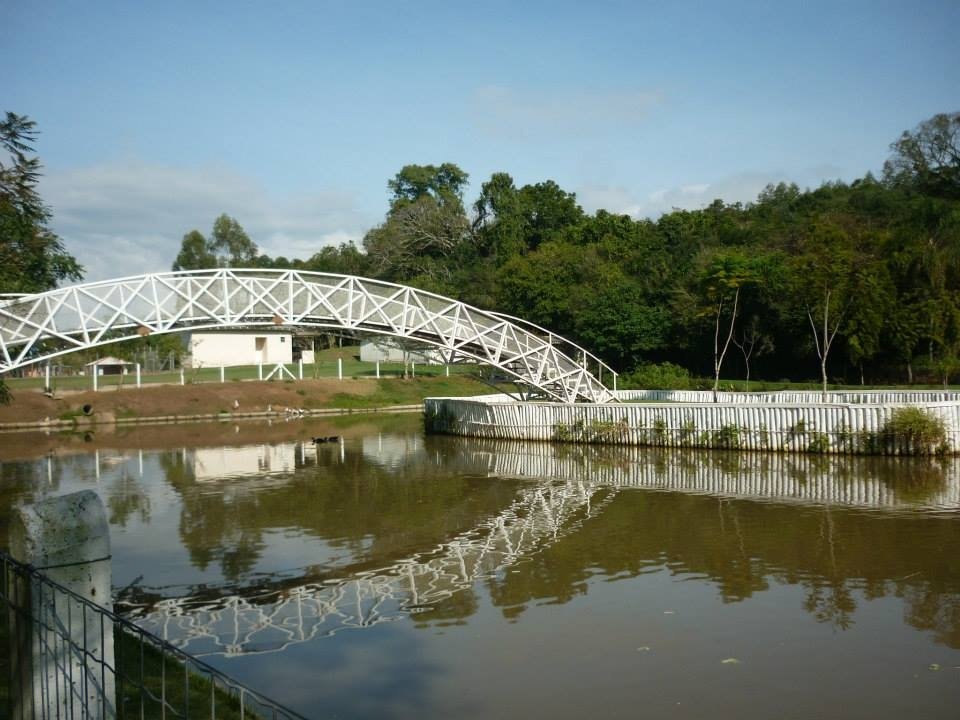 ponte rua